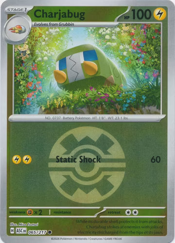 Ascended Heroes - 065/217 - Charjabug - Ball Reverse Holo