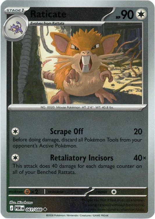 Perfect Order - 061/088 - Raticate - Reverse Holo