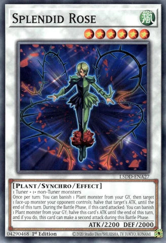 L5DD-ENA27 - Splendid Rose