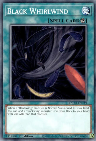 L5DD-ENC19 - Black Whirlwind