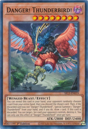 SR13-EN019 - Danger! Thunderbird!