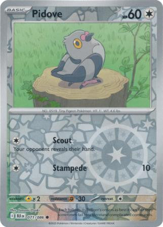 Black Bolt - 071/086 - Pidove - Reverse Holo