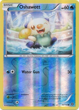 Steam Siege - 030/114 - Oshawott - Reverse Holo