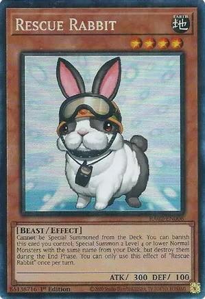 RA02-EN008 - Rescue Rabbit