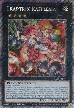 RA02-EN034 - Traptrix Rafflesia