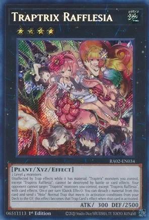 RA02-EN034 - Traptrix Rafflesia